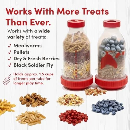 RentACoop Chicken Treat 4 Tube Dispenser | Multi-Treat Enrichment Toy for Chickens thumbnail 5