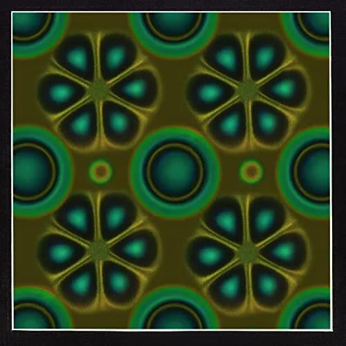 Learay Magnetic Field Viewing Film 10.16cm x 10.16cm (4" x 4") | Visualize Magnetic Flux Patterns thumbnail 1