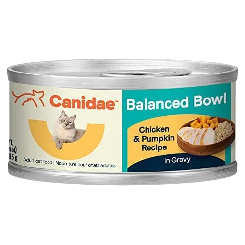 CANIDAE Balanced Bowl Wet Cat Food, Chicken & Pumpkin, 3 oz | Wholesome Hydrating Meal thumbnail 1