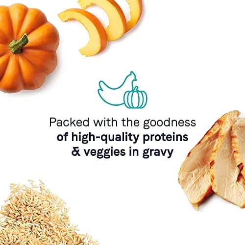 CANIDAE Balanced Bowl Wet Cat Food, Chicken & Pumpkin, 3 oz | Wholesome Hydrating Meal thumbnail 4