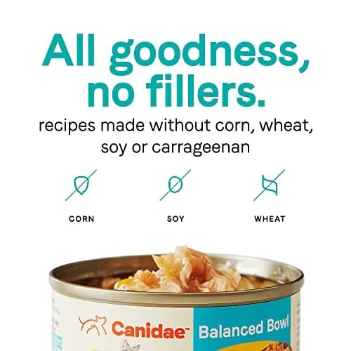 CANIDAE Balanced Bowl Wet Cat Food, Chicken & Pumpkin, 3 oz | Wholesome Hydrating Meal thumbnail 5