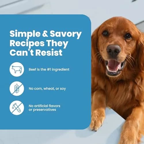 Blue Buffalo Nudges Grillers Steak Dog Treats 453g (16 oz) | Real USA Beef First, Soft & Easy to Tear thumbnail 8