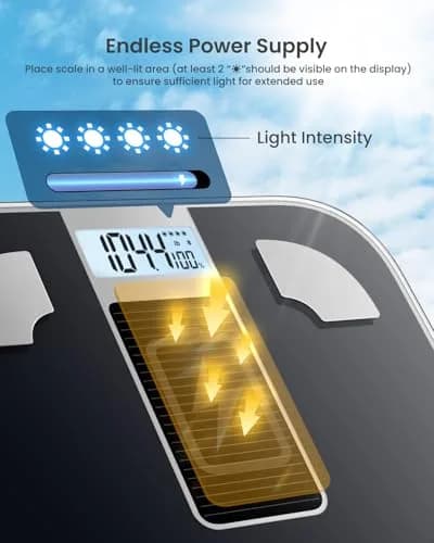 RENPHO Elis Solar 1 Smart Scale 180kg (400lb) | Accurate Body Composition Tracking thumbnail 2