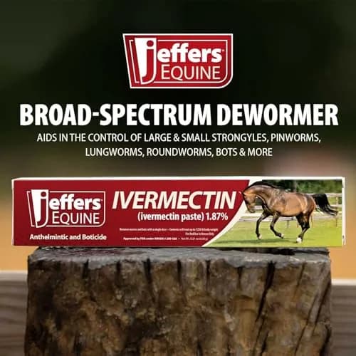 Jeffers Ivermectin Dewormer for Horses 6 Pack | Apple Flavored Broad Spectrum Paste thumbnail 4