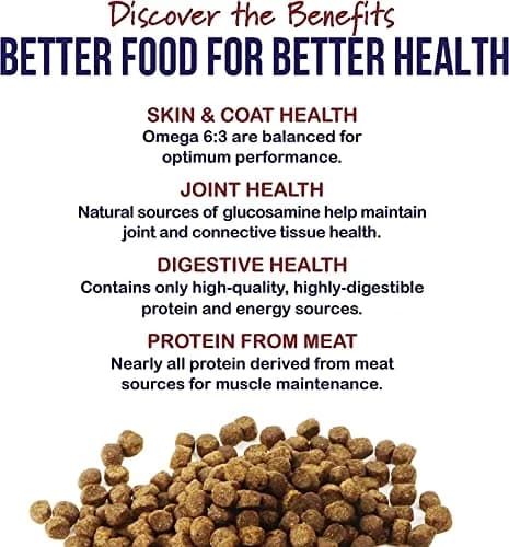 Best Breed Dr. Gary's Puppy Recipe – Veterinarian-Formulated Puppy Food with DHA & EPA, Chicken & Fish, All Breeds (13 lb Bag) thumbnail 3