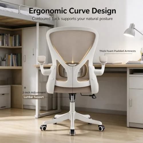 SICHY AGE High Back Mesh Office Chair with Adjustable Lumbar Support & Flip-Up Armrests, 23 in x 29 in x 45 in | Ergonomic Comfort thumbnail 3