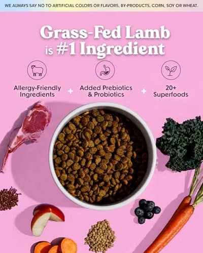 Bundle x Joy Lamb Probiotic Dry Dog Food 18lb | Grain-Free, Natural, Supports Digestion thumbnail 2