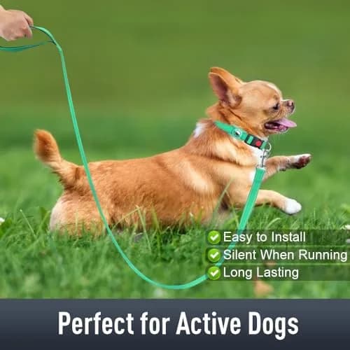 Erbine Reflective Dog Collar with AirTag Holder for Small Dogs, Teal (9"-15") thumbnail 3