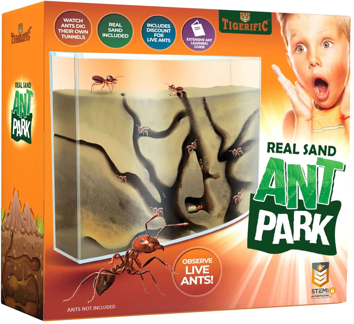 Tigerific Ant Farm for Live Ants Habitat Set 780g (1.72 lb) | Watch Ants Dig Tunnels & Carry Sand — Transparent