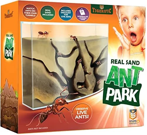Tigerific Ant Farm for Live Ants Habitat Set 780g (1.72 lb) | Watch Ants Dig Tunnels & Carry Sand thumbnail 1