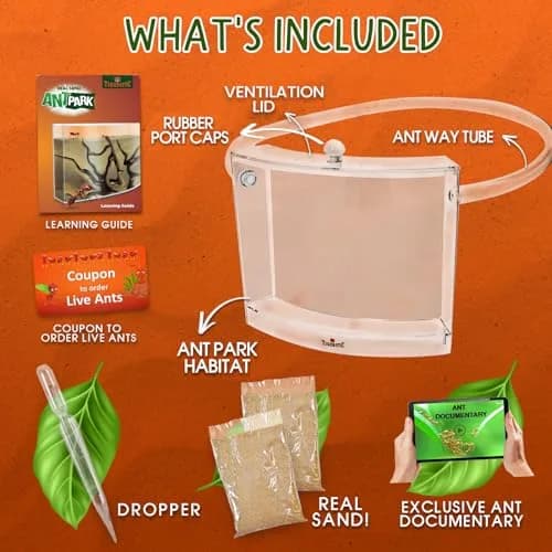 Tigerific Ant Farm for Live Ants Habitat Set 780g (1.72 lb) | Watch Ants Dig Tunnels & Carry Sand thumbnail 6