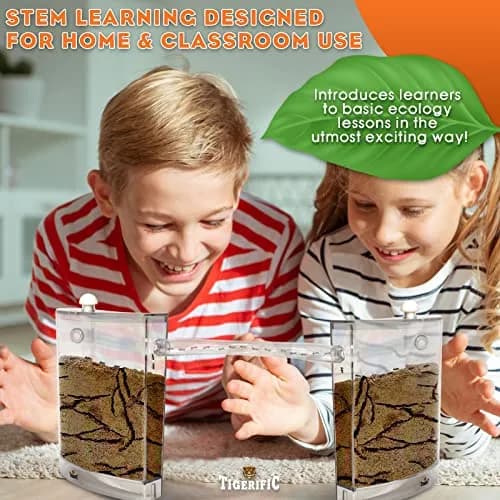 Tigerific Ant Farm for Live Ants Habitat Set 780g (1.72 lb) | Watch Ants Dig Tunnels & Carry Sand thumbnail 7