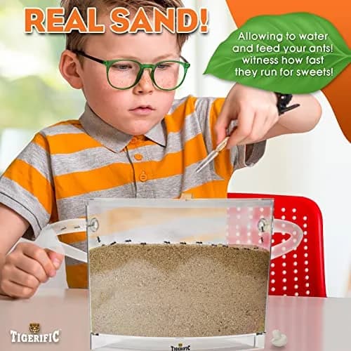 Tigerific Ant Farm for Live Ants Habitat Set 780g (1.72 lb) | Watch Ants Dig Tunnels & Carry Sand thumbnail 3