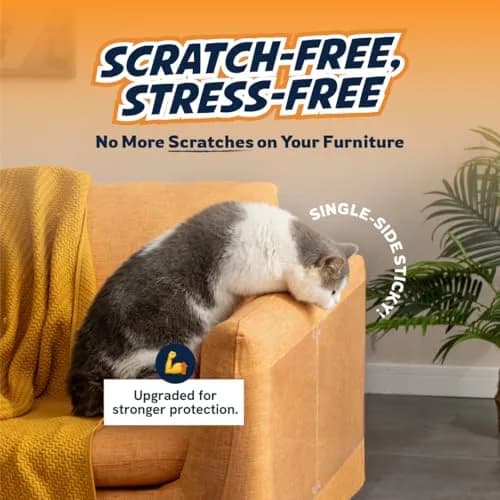 Panther Armor Clear Furniture Protector Sheets with Twist Pins | Protects Fabric Sofas & Chairs from Cat Scratching thumbnail 2