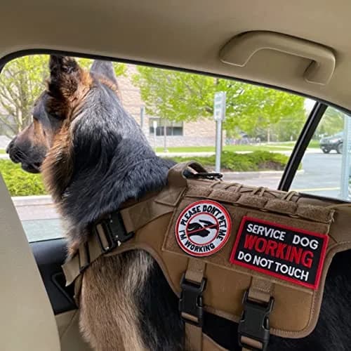 J.CARP Service Dog K9 Badge Patch 10 pcs | No Touch Embroidered Patches for Harness thumbnail 4