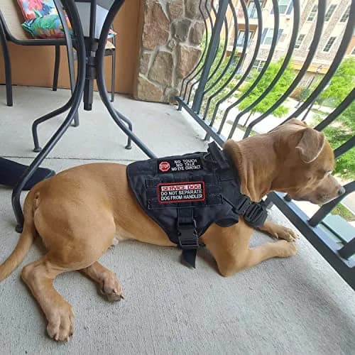 J.CARP Service Dog K9 Badge Patch 10 pcs | No Touch Embroidered Patches for Harness thumbnail 5