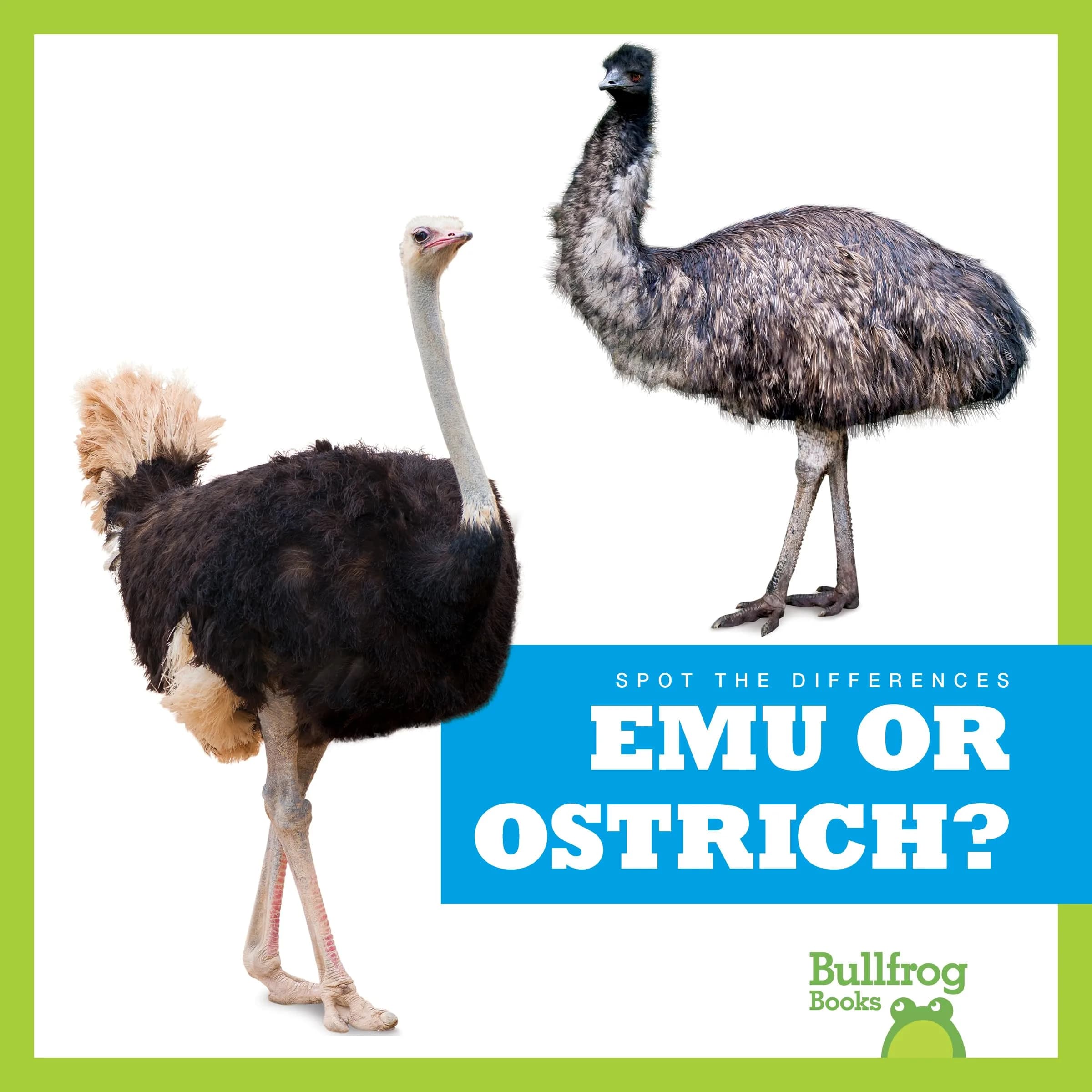 Emu or Ostrich? (Bullfrog Books: Spot the Differences) 20 cm (8 in) | Interactive Beginner Reader