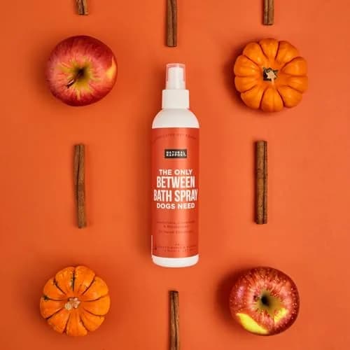 Natural Rapport Dog Cologne, Spiced Apple & Pumpkin Spray, 8 oz | Deodorizing & Odor Neutralizer for Dogs thumbnail 2