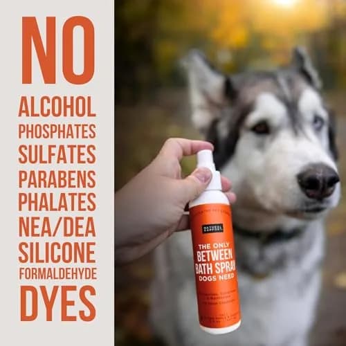 Natural Rapport Dog Cologne, Spiced Apple & Pumpkin Spray, 8 oz | Deodorizing & Odor Neutralizer for Dogs thumbnail 3
