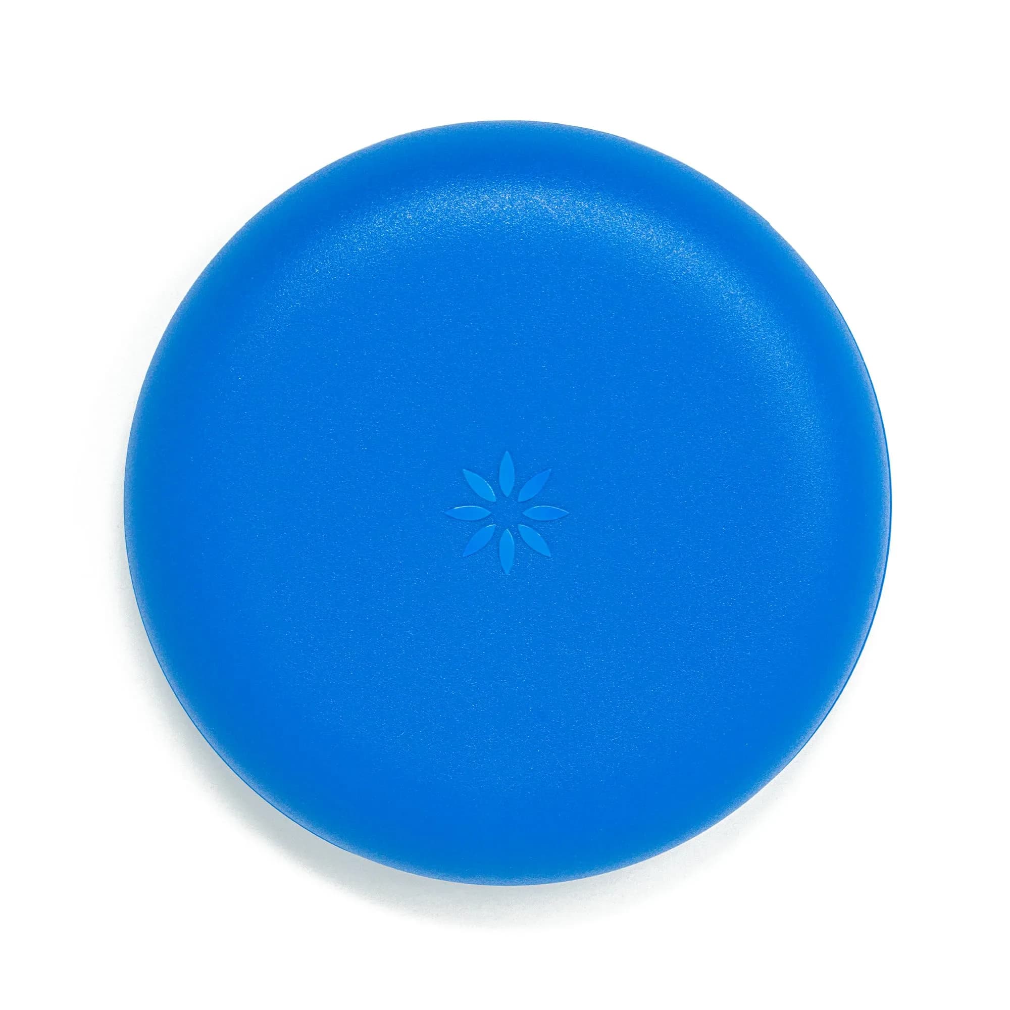 INVISALIGN Royal Blue Bear Retainer Case | Medical-Grade Thermoplastic, Magnetic Closure, Ventilated (8.7 x 8.7 x 2.2 Inch) - main product image