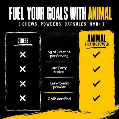 Animal Creatine Monohydrate Powder 1000g | Unflavored, Max Performance & Recovery thumbnail 4