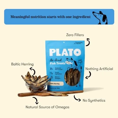 PLATO Single Ingredient Baltic Herring Dog Treats, 3 oz | Omega-Rich, Air-Dried Fish for Skin & Coat Support thumbnail 2