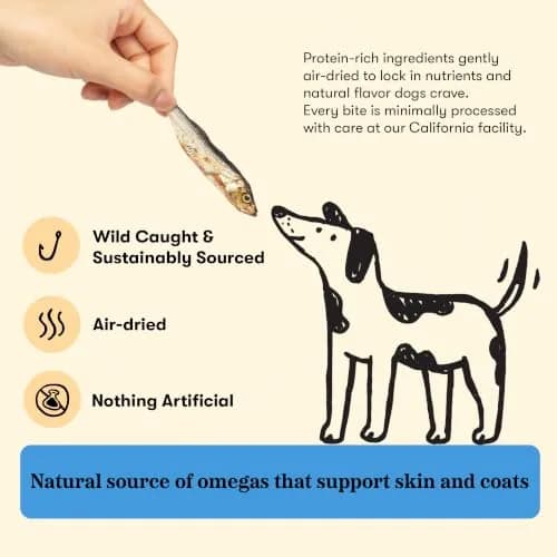 PLATO Single Ingredient Baltic Herring Dog Treats, 3 oz | Omega-Rich, Air-Dried Fish for Skin & Coat Support thumbnail 3