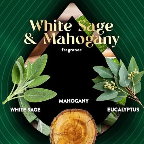 Air Wick Plug In Refill White Sage & Mahogany Essential Oil 5 Count | Continuous Fragrance Diffusion thumbnail 5