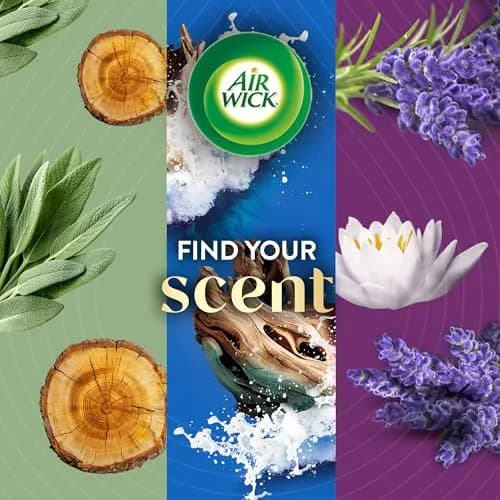 Air Wick Plug In Refill White Sage & Mahogany Essential Oil 5 Count | Continuous Fragrance Diffusion thumbnail 7