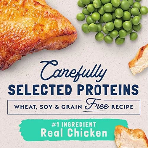 Natural Balance Limited Ingredient Cat Food, Chicken & Green Pea, 15 lb | Grain-Free, Sensitive Stomach Support thumbnail 8