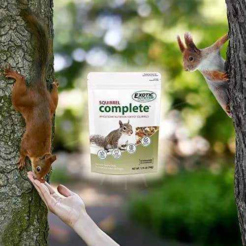Exotic Nutrition Squirrel Complete 1.81 kg (4 lb) | Natural Pet Food for Squirrels thumbnail 6