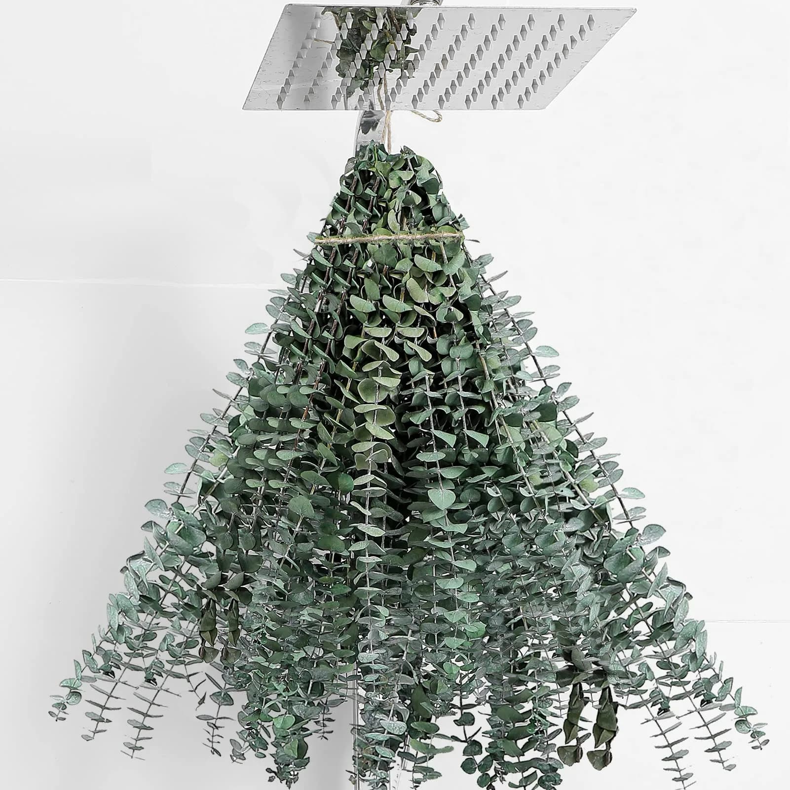 FAVOWREATH 30 Pcs Dried Eucalyptus Stems 17" Real Eucalyptus for Shower Hanging | Natural Scent & Long-Lasting Decor