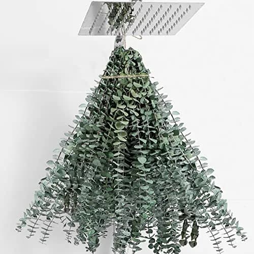 FAVOWREATH 30 Pcs Dried Eucalyptus Stems 17" Real Eucalyptus for Shower Hanging | Natural Scent & Long-Lasting Decor thumbnail 1