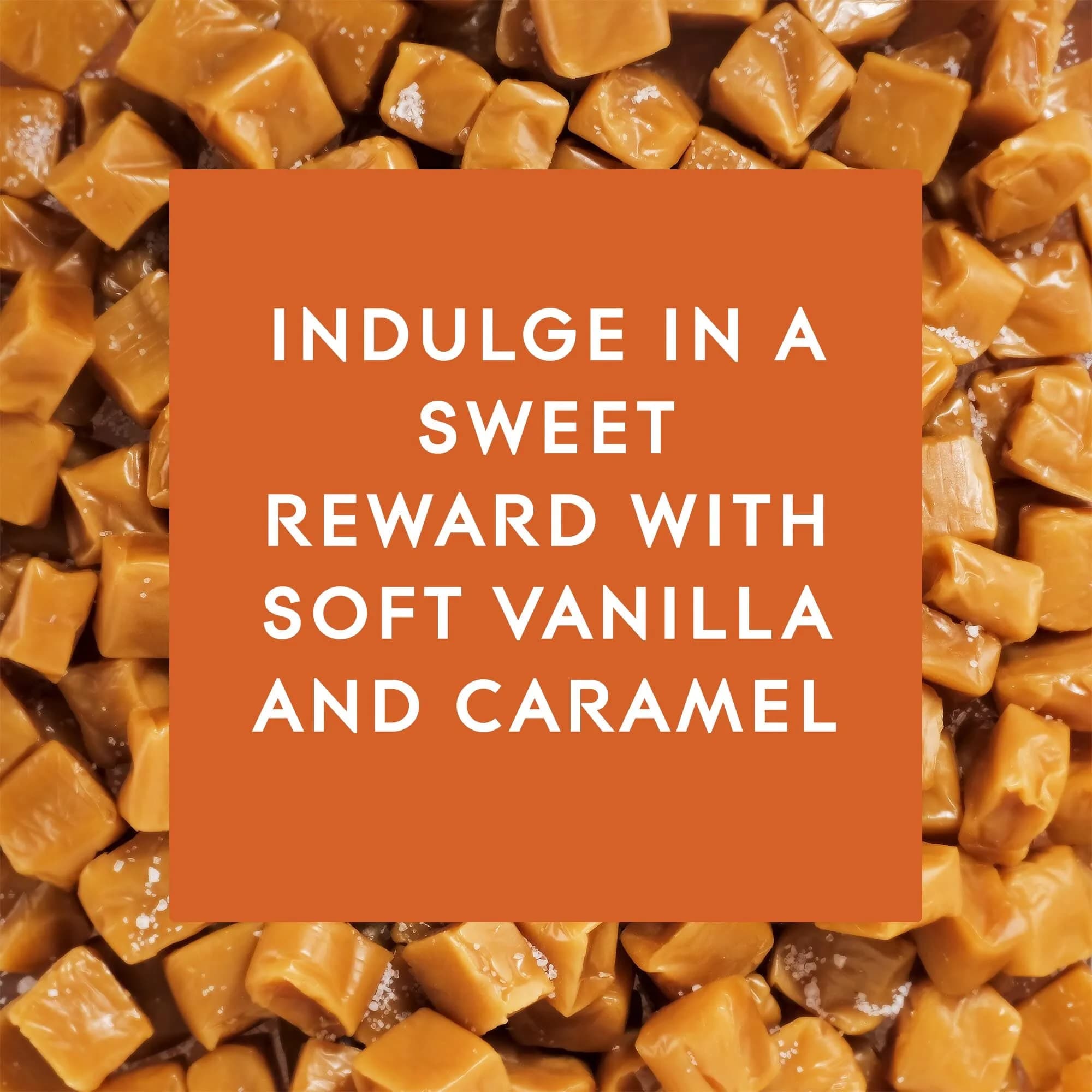 Glade Vanilla Caramel Twist PlugIns Refills Air Freshener, 100ml (3.35 Fl Oz) (5 Count) | Scented with Essential Oils for Home - view 5