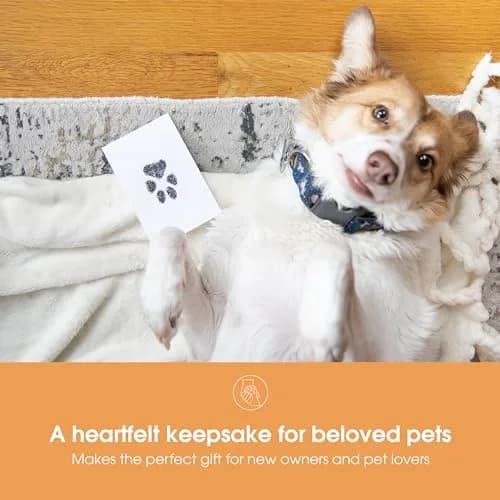 Pearhead Pet Clean-Touch Ink Pad, Medium/Large, Black Ink Pad for Cats or Dogs | Captures Paw Prints Without Mess thumbnail 4