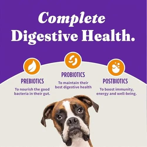 Halo Holistic Small Breed Dog Food, Cage-Free Chicken & Brown Rice, 3.5 lb | Supports Digestive & Skin Health thumbnail 5