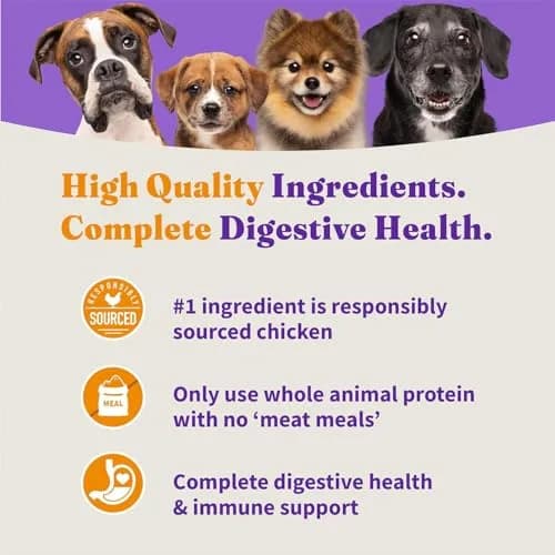 Halo Holistic Small Breed Dog Food, Cage-Free Chicken & Brown Rice, 3.5 lb | Supports Digestive & Skin Health thumbnail 6