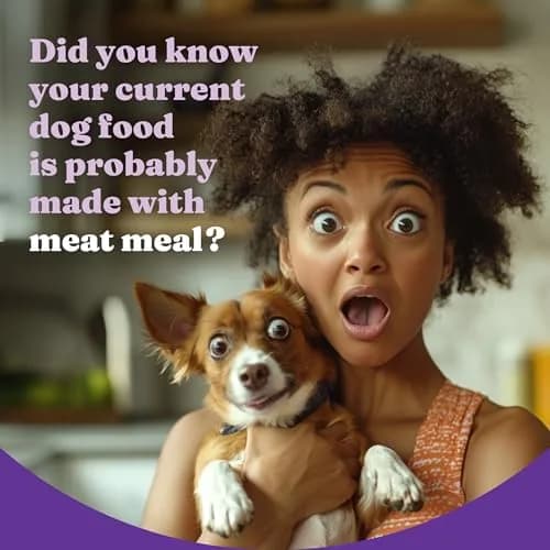 Halo Holistic Small Breed Dog Food, Cage-Free Chicken & Brown Rice, 3.5 lb | Supports Digestive & Skin Health thumbnail 2