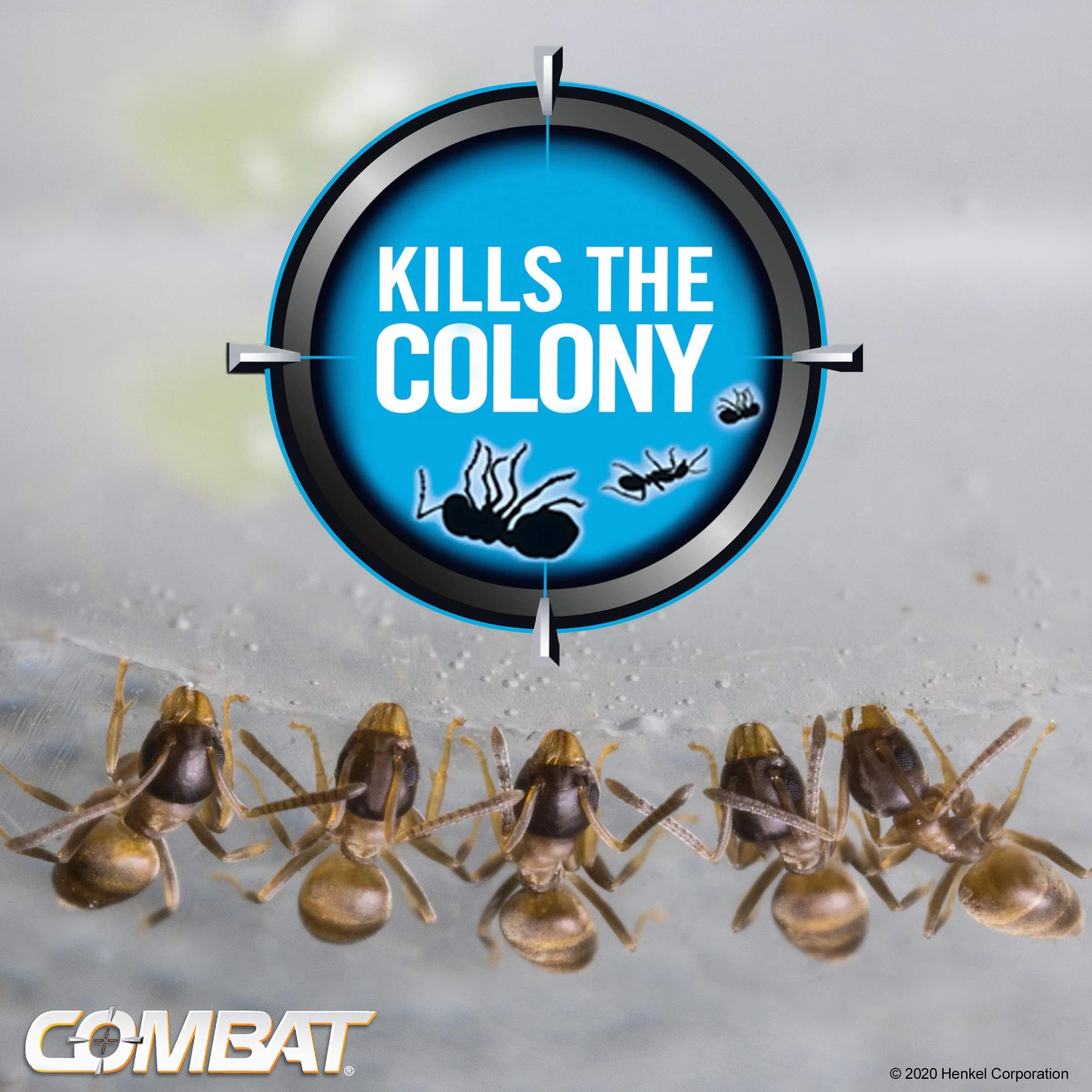 Combat Max Ant Killing Bait Stations, Indoor and Outdoor Use, 12 Count (Pack of 2) | EPA Registered Insecticide - view 5