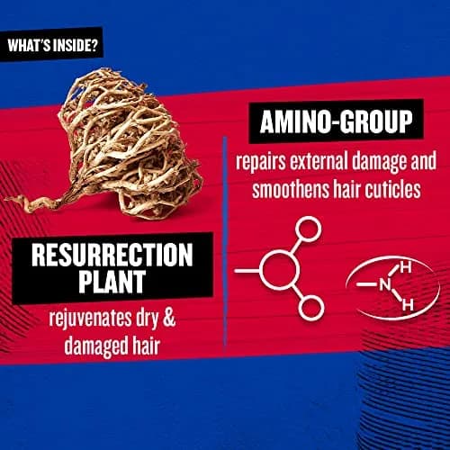 TIGI Bed Head Resurrection Repair Shampoo for Damaged Hair 1.7 L (27.06 fl oz) | Professional Repair Formula thumbnail 5