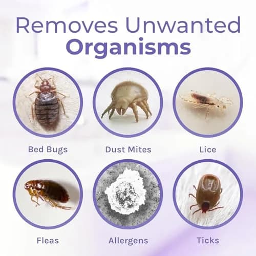 Hygea Natural Spotless Essentials Bed Bug/Lice/Mite Spray/Cleaner 24 Fl Oz | Natural Pest & Surface Cleaner thumbnail 3