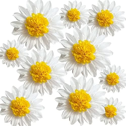 ANSOMO Daisy Tissue Paper Pom Poms Party Decorations White Yellow 12" & 8" | Pack of 10 for Celebrations thumbnail 1