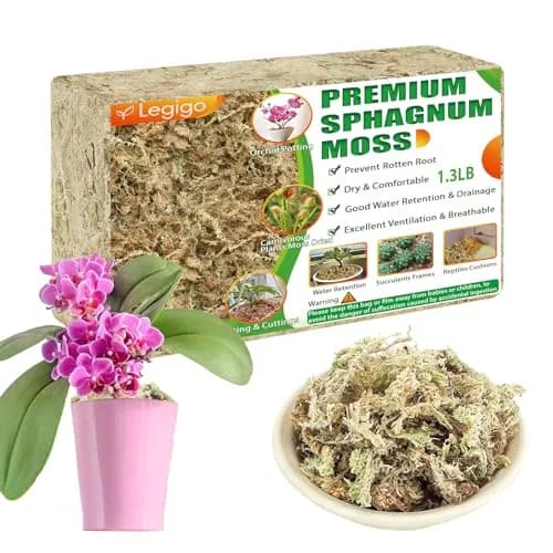 Legigo 1.3LB Sphagnum Moss for Plants | Moisture Retention & Root Growth Support thumbnail 1