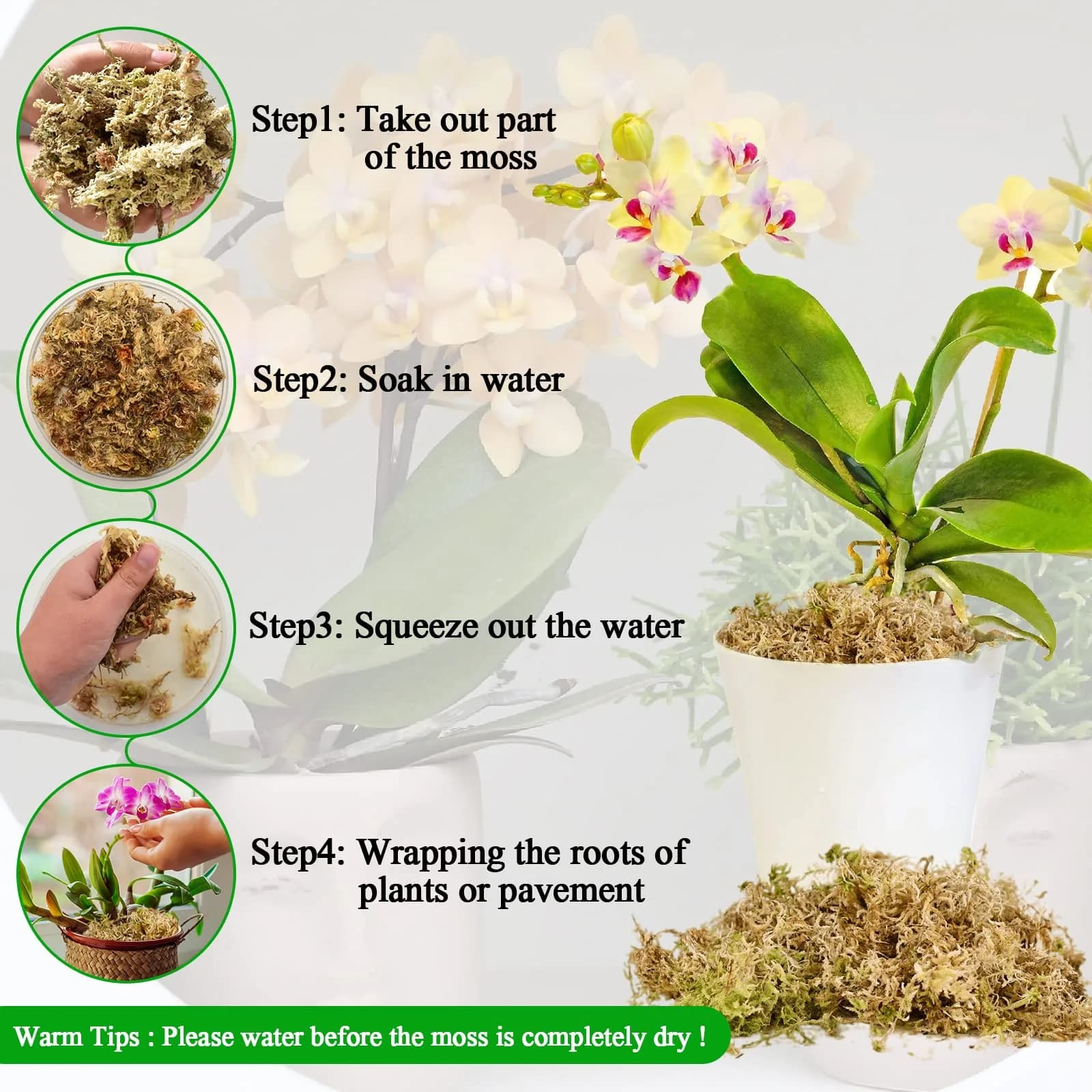 Legigo Premium Sphagnum Moss - 25 Quart (1.3 lb) Natural Long Fiber Orchid & Succulent Soil - view 4