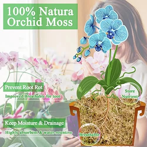 Legigo 1.3LB Sphagnum Moss for Plants | Moisture Retention & Root Growth Support thumbnail 3