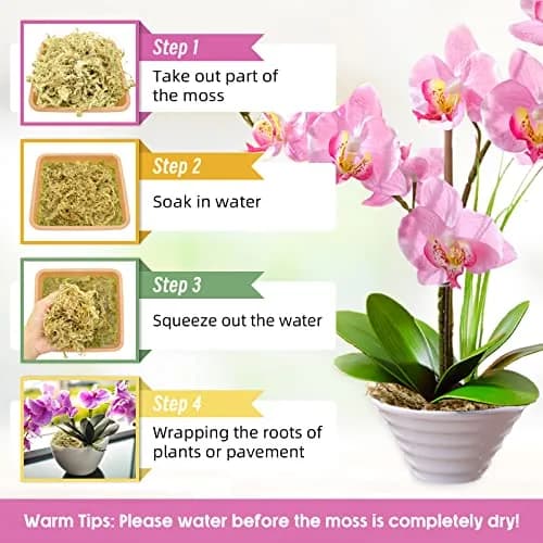 Legigo 14oz Sphagnum Moss for Plants | Natural Long Fibers Orchid Moss, 16QT thumbnail 4