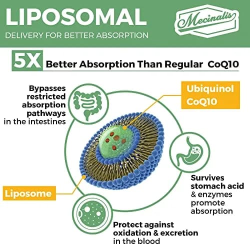 Mecinalis 1000mg Liposomal CoQ10 Softgels | Better Absorption CoQ10 Ubiquinol Supplement | Heart Function & Energy Production | Active Antioxidant Form of Vegan Coenzyme Q10 | Non-GMO | 120 Softgels thumbnail 5