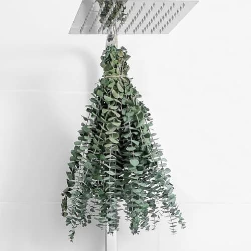 FAVOWREATH 10 Pcs Dried Eucalyptus Stems 43 cm (17") | Natural Greenery for Home Decor thumbnail 1