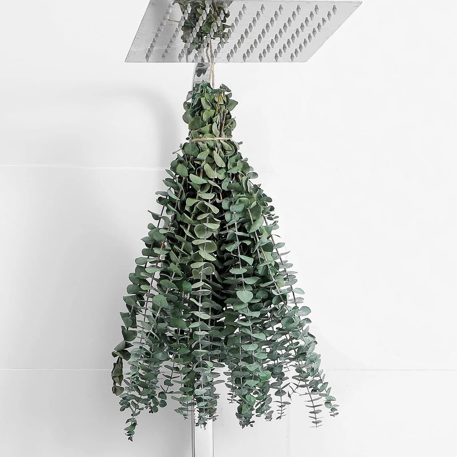 FAVOWREATH 10 Pcs Dried Eucalyptus Stems 43 cm (17") | Natural Greenery for Home Decor
