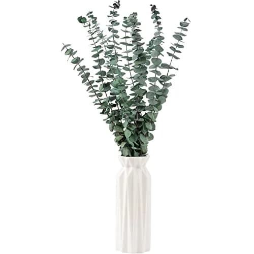 FAVOWREATH 10 Pcs Dried Eucalyptus Stems 43 cm (17") | Natural Greenery for Home Decor thumbnail 2